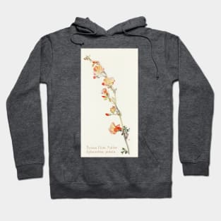 Munro's Globemallow - Botanical Illustration Hoodie